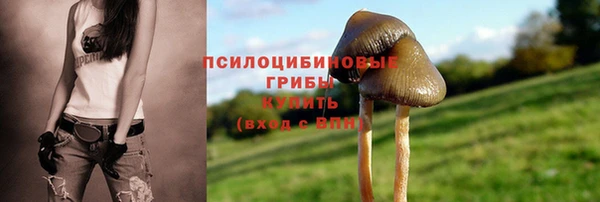 мяу мяу мука Бронницы