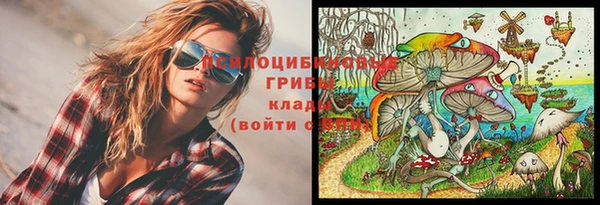 амф Бородино