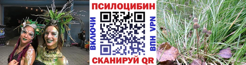 Галлюциногенные грибы Magic Shrooms  цена наркотик  Гвардейск 