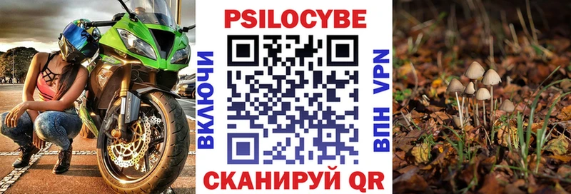 Галлюциногенные грибы Psilocybine cubensis Гвардейск